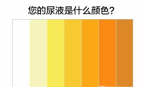 尿液的颜色是否正常，图解说明养伤