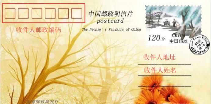 明信片怎么写