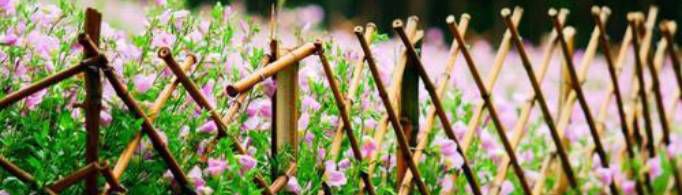 一个篱笆三个桩一个好汉三个帮是什么意思？