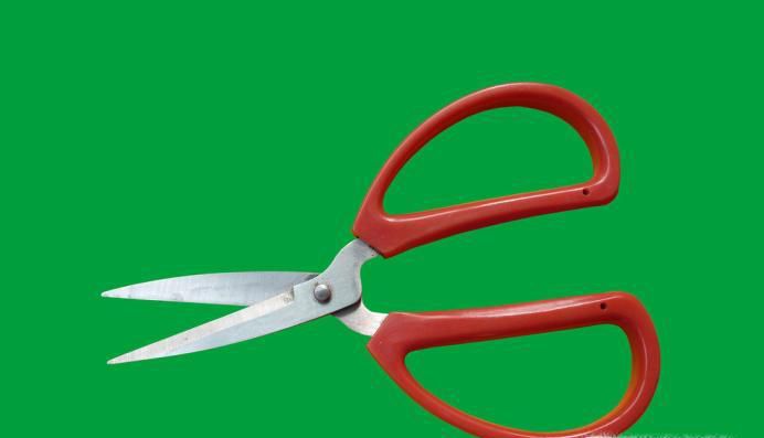 虾线如何快速去除