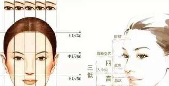 脸型分7类,你知道自己属于哪一类吗?