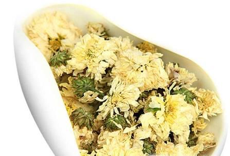 贡菊泡水喝的功效