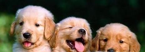 去水上乐园要注意什么 去水上乐园注意事项