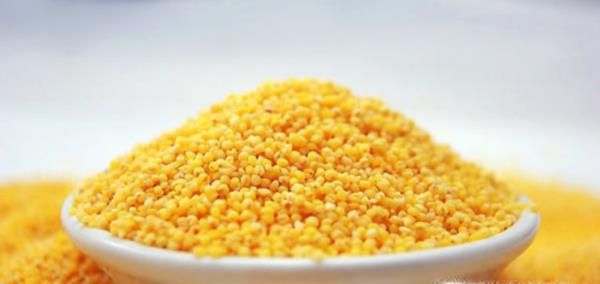 小米生虫子了怎么办