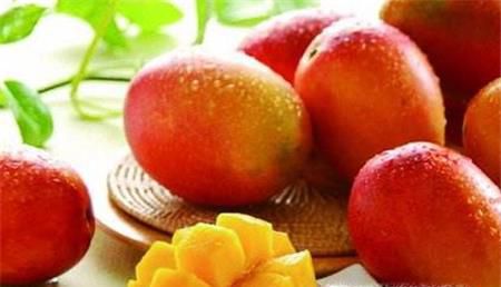 芒果的功效与作用及禁忌