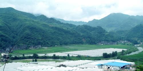 在农村能挣钱大全