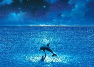 备注blue是什么意思?