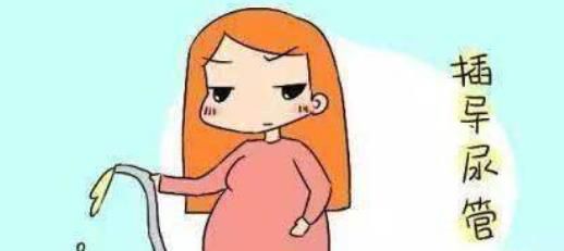插尿管的步骤