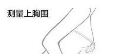 胸围尺码表和胸围怎么算