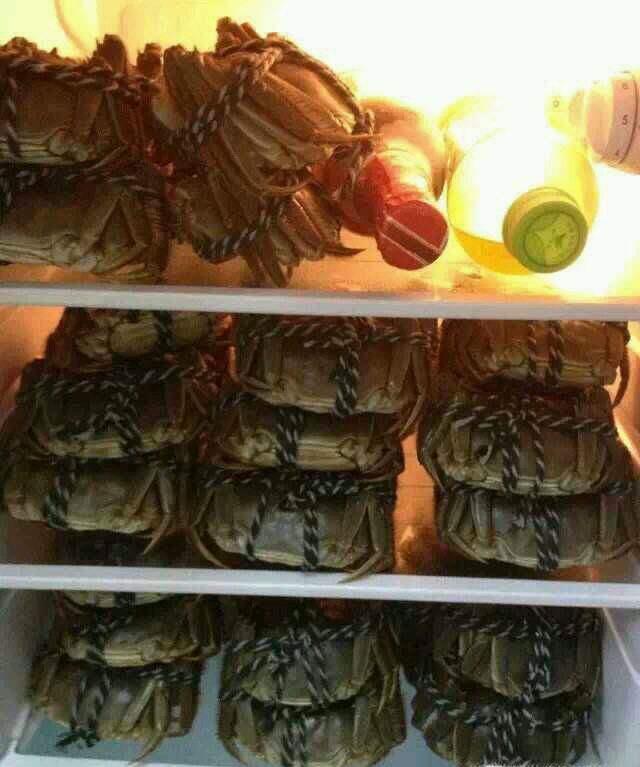 螃蟹可以放在冰箱保存吗?螃蟹保存方法