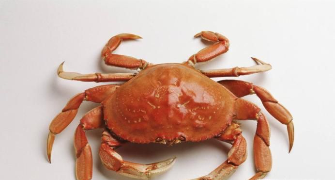 刚死的螃蟹能吃吗 刚死的吃了有什么危害