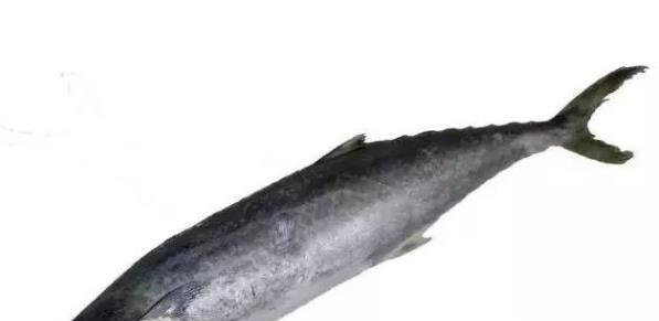 鱼有毒的部位不能吃