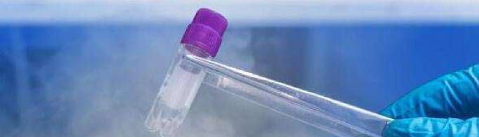 冻卵是什么意思啊？