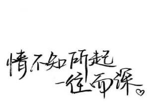 “情不知所起，一往而深”是什么意思？