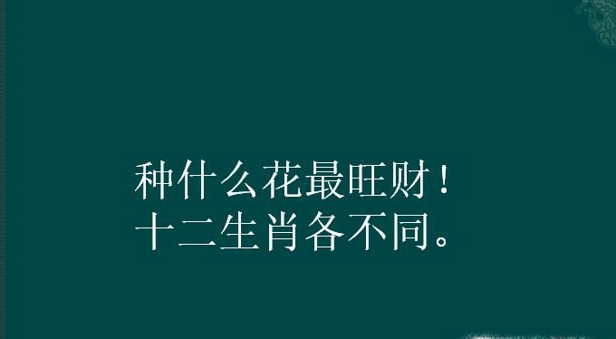 种什么花最旺财,十二生肖各不同