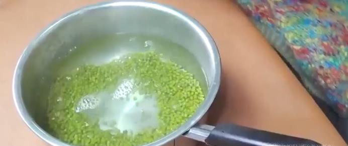 如何自种绿豆芽
