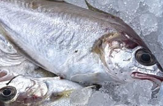 活鱼怎么保鲜，杀好的鱼怎么保鲜