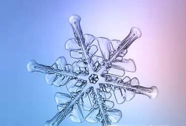身边常见的雪花形状