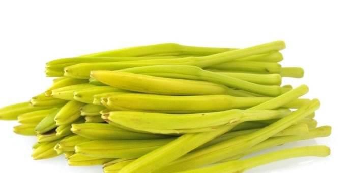 鲜黄花菜有毒不能吃吗？