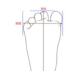 怎样正确测量脚围和脚长