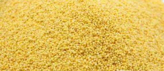 小米和大米有什么区别