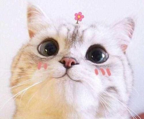 怎么向老妈要钱？