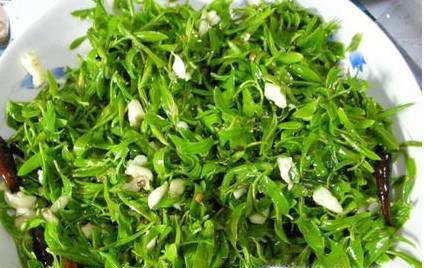 常见野草的名称及其功效