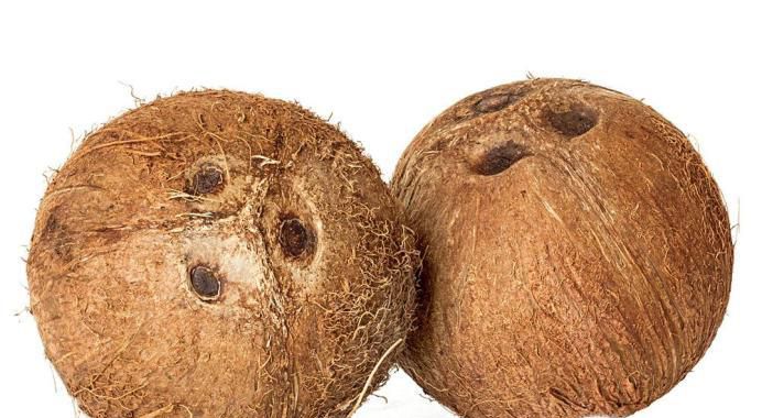 植物种子如何传播及种子播种技巧