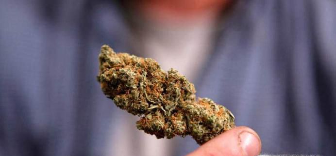 吸食大麻会对人体产生哪些影响呢?