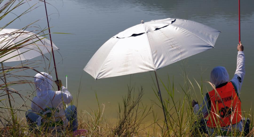 一天中最佳钓鱼时间选择