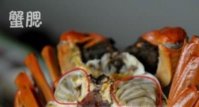 螃蟹该怎么将不能吃的排除