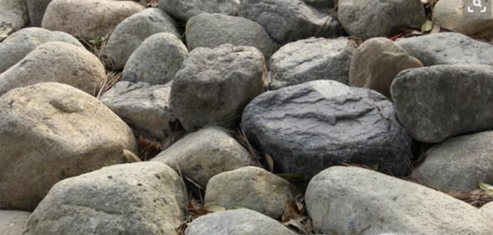 野猪夹怎么打开