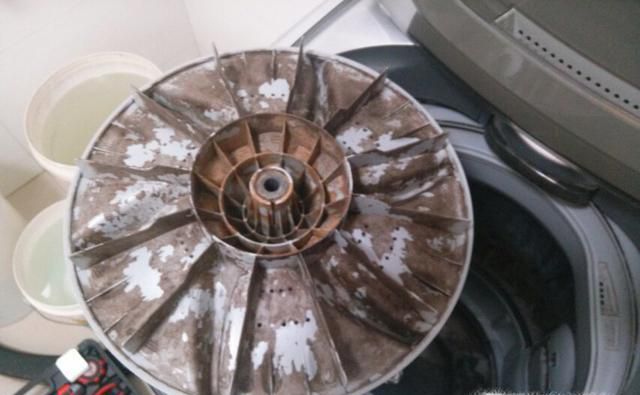 如何利用白醋和小苏打清洗洗衣机