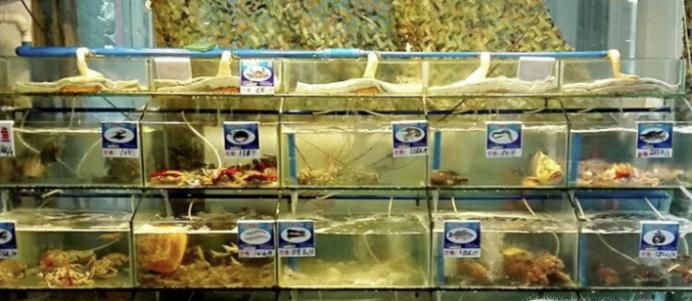 怎样开个鲜活海鲜店