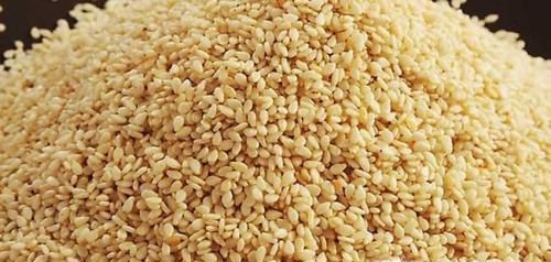 含钙最多的食物排名