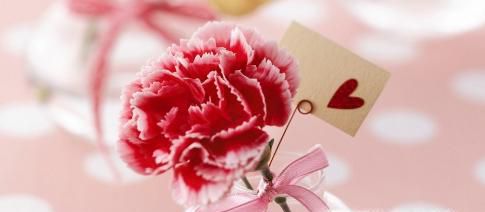 母亲节手抄报内容