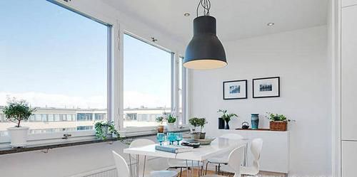 吸甲醛最好的五种植物