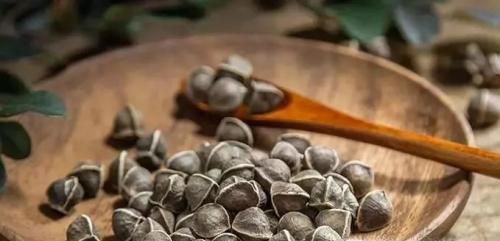 辣木籽怎么食用