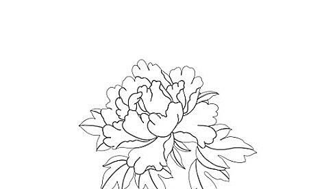 怎样画牡丹花最简单