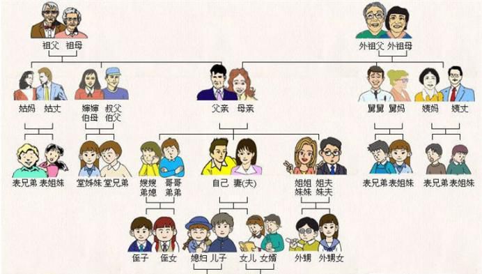 家族称呼大全