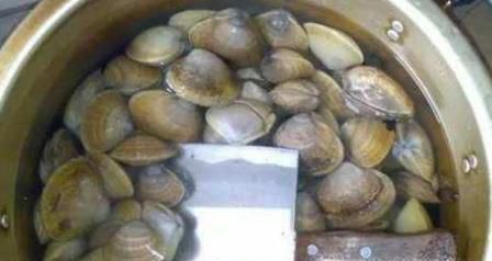 如何让蛤蜊快速吐沙