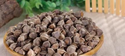 辣木籽的功效和作用及食用方法