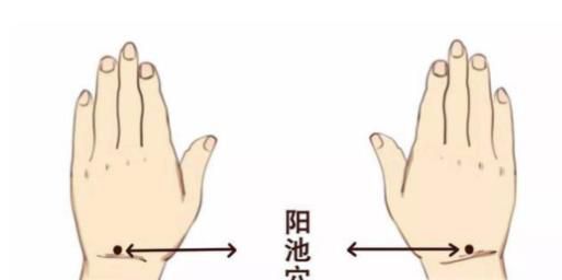 阳池穴穴位位置图及作用