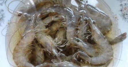 怎么样清洗虾