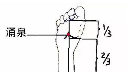 涌泉穴位位置图和作用