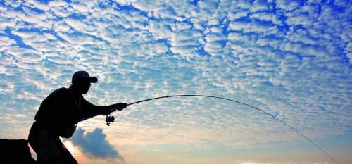 海竿线组组装视频教程