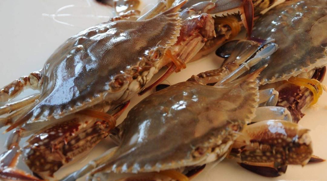 如何能把螃蟹清洗的干干净净？