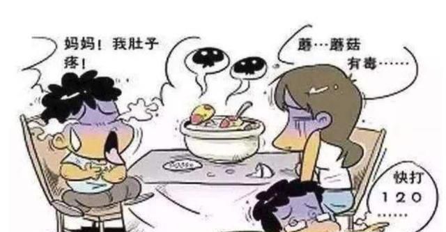 什么样的蘑菇不可以吃