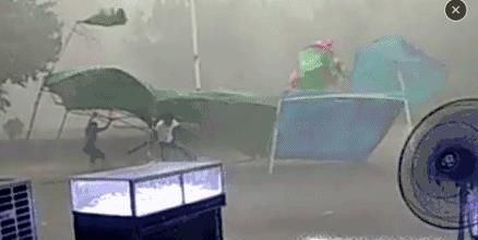 台风是如何形成的？