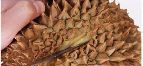 如何打开榴莲？超级简单方便的方法